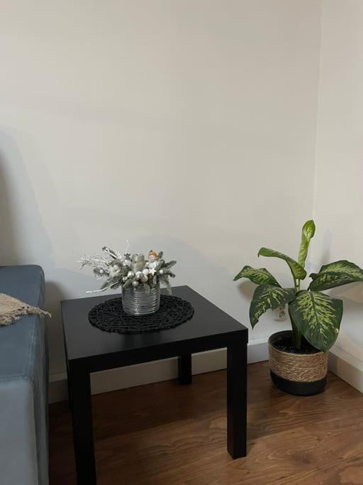 Apartament La Casa Temeşvar Dış mekan fotoğraf